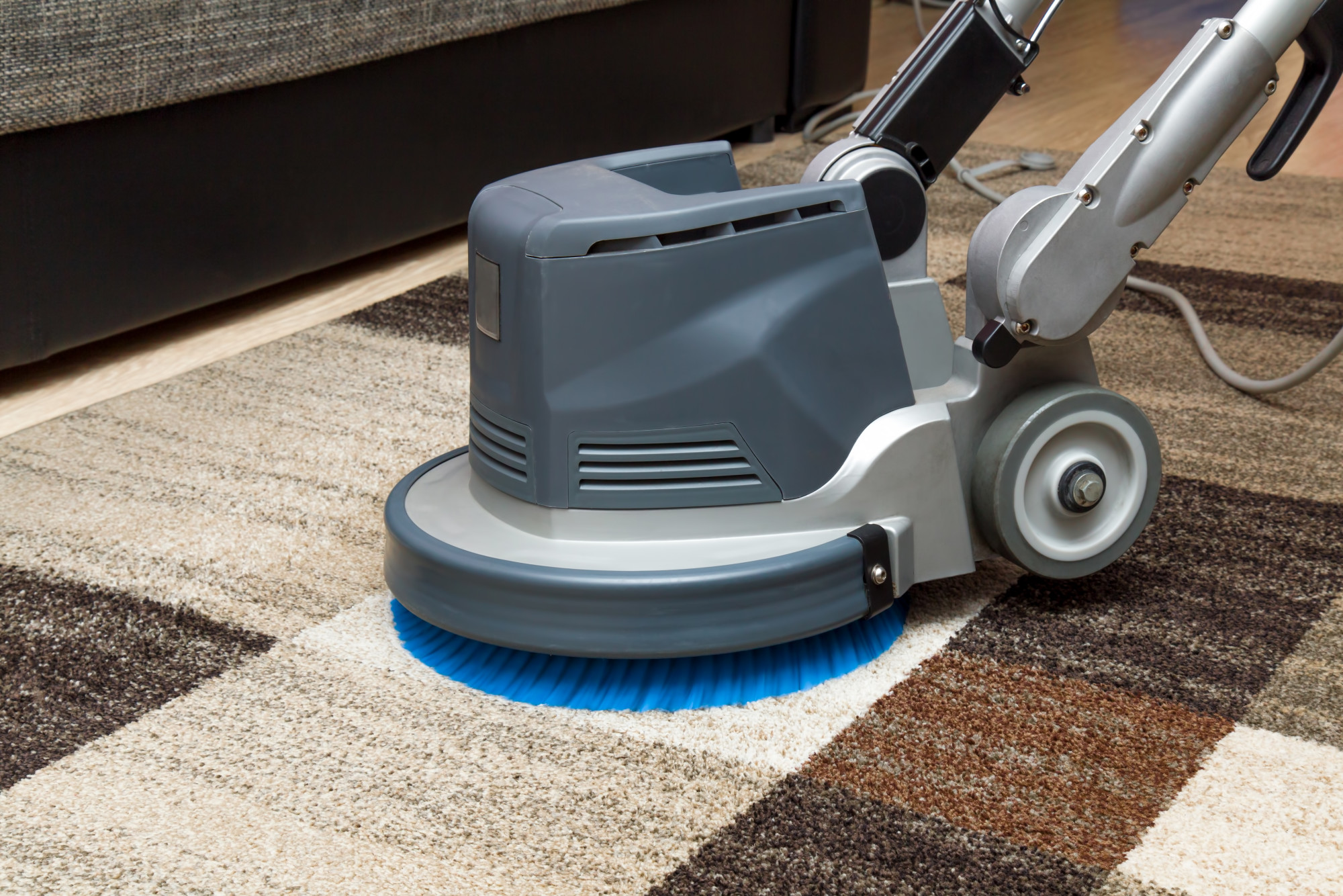 6 Different Carpet Cleaning Services to Provide