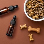 Holistic Pet Care: Incorporating CBD Oil into Your Pet's Wellness Routine