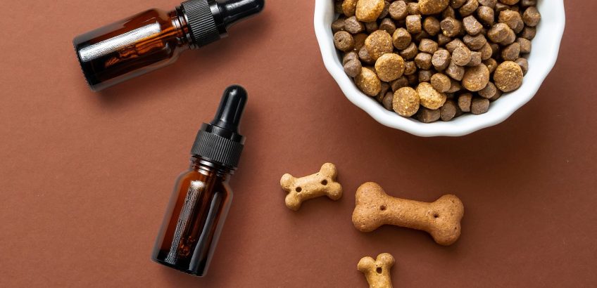 Holistic Pet Care: Incorporating CBD Oil into Your Pet's Wellness Routine