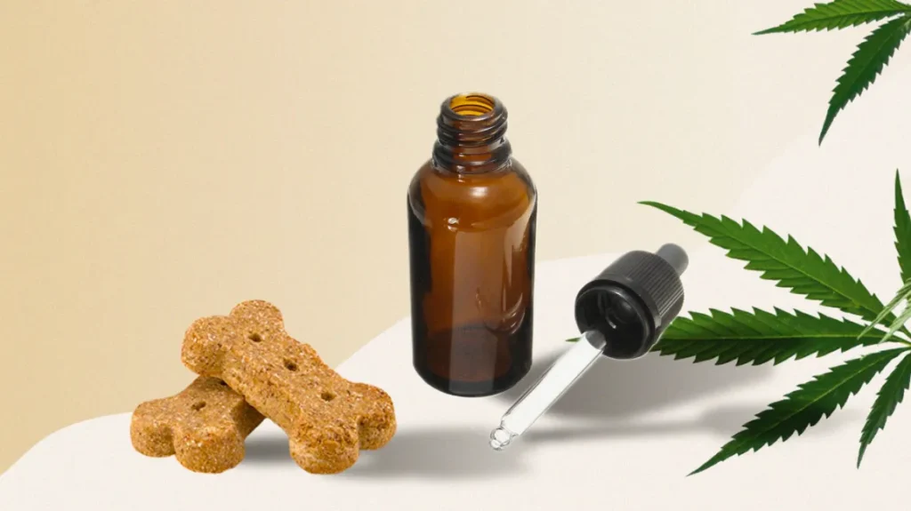 CBD Oil for Pets Canada