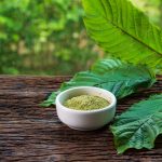 What is the Secret to Making the Strongest Kratom Shot?